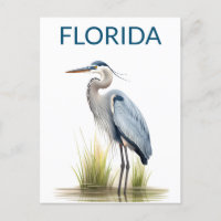 Florida Great Blue Heron Bird Travel