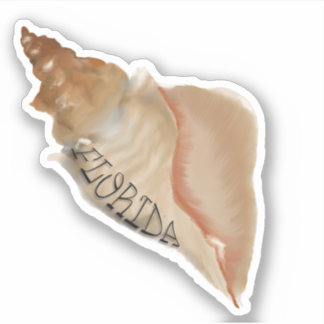 Florida Horse Conch Shell