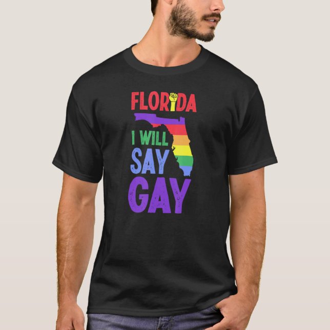 Florida I Will Say Gay Pride Queer Rights Lgbtq Al T-Shirt (Front)