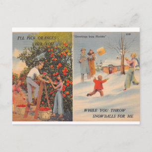 Florida in Winter Postcard