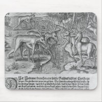 Florida Indians hunting deer