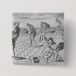 Florida Indians planting maize 2 Inch Square Button