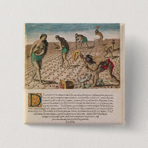 Florida Indians planting maize 2 Inch Square Button
