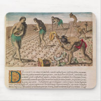 Florida Indians planting maize