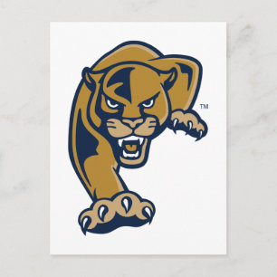 Florida International University Panthers Postcard