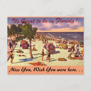 Florida, It's Great to be in Postcard