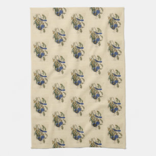 Florida Jay (Scrub-Jay) Audubon's Birds of America Kitchen Towel