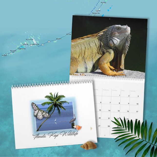 Florida Keys calendrier de la faune (Créateur téléchargé)