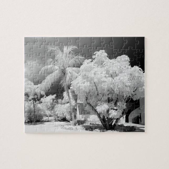 Florida Keys house and its palm trees, USA. 2 Jigsaw Puzzle (Horizontal)