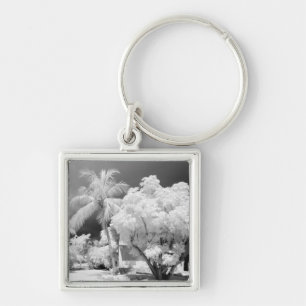 Florida Keys house and its palm trees, USA. 2 Keychain