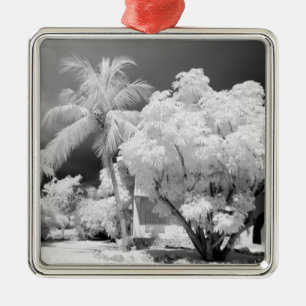 Florida Keys house and its palm trees, USA. 2 Metal Ornament