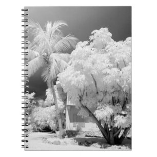 Florida Keys house and its palm trees, USA. 2 Notebook