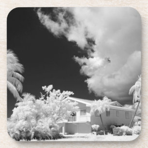 Florida Keys house and its palm trees, USA. Coaster