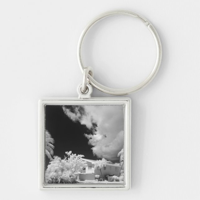 Florida Keys house and its palm trees, USA. Keychain (Front)
