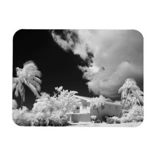 Florida Keys house and its palm trees, USA. Magnet