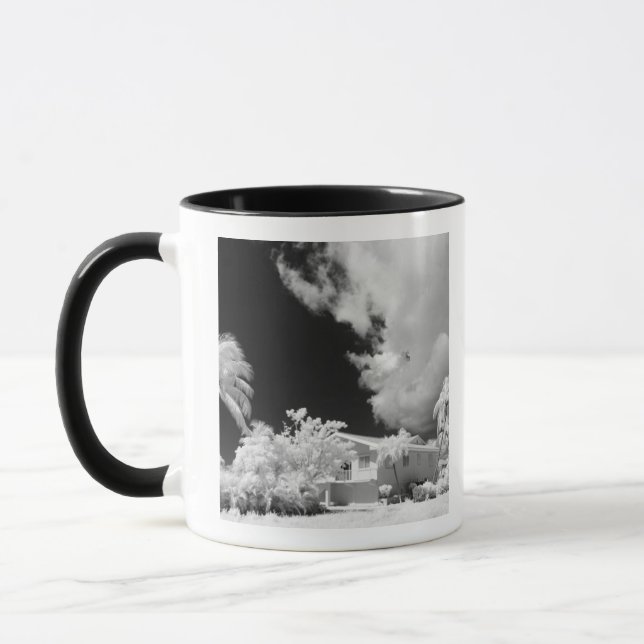 Florida Keys house and its palm trees, USA. Mug (Left)