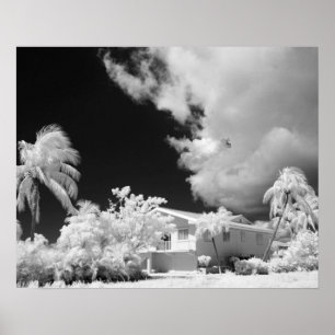 Florida Keys house and its palm trees, USA. Poster
