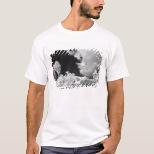 Florida Keys house and its palm trees, USA. T-Shirt