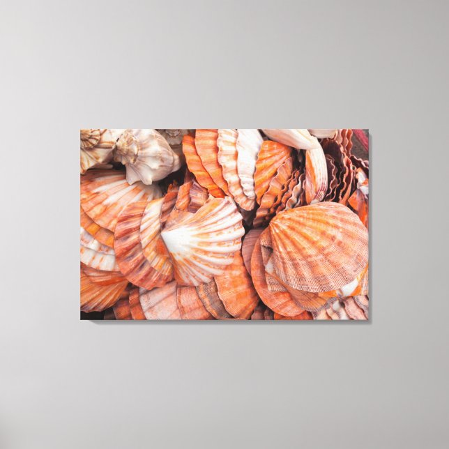 Florida Keys, Key West, seashells Canvas Print (Front)