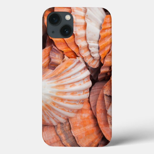 Florida Keys, Key West, seashells Case-Mate iPhone Case (Back)