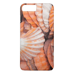Florida Keys, Key West, seashells Case-Mate iPhone Case