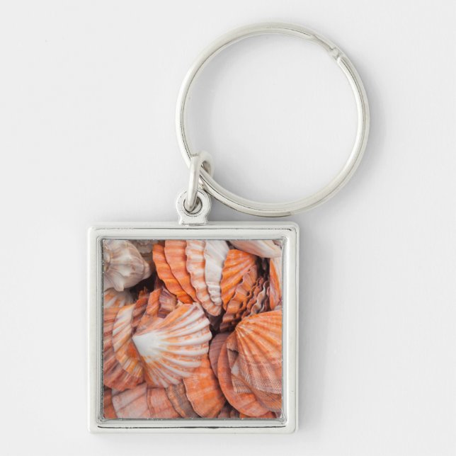 Florida Keys, Key West, seashells Keychain (Front)