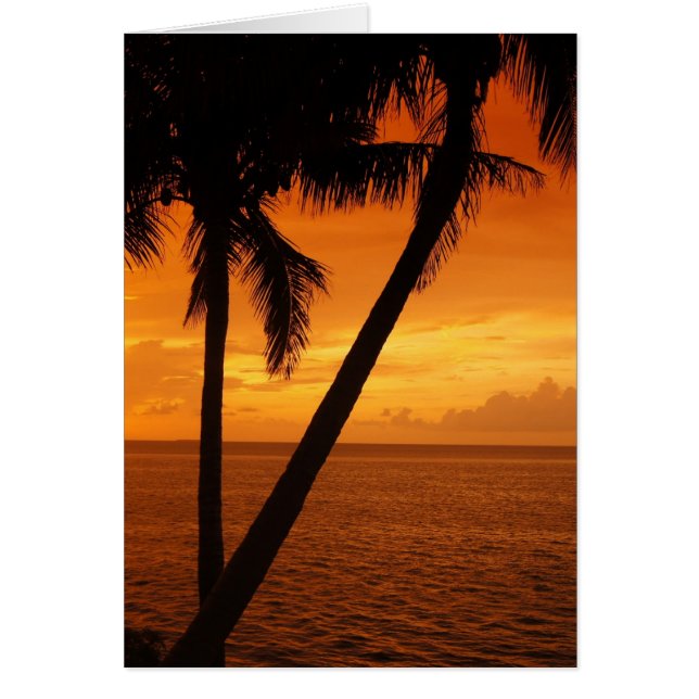 Florida Key's Sunset (Front)