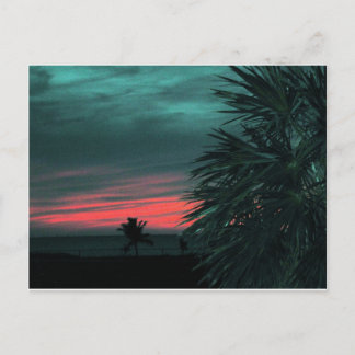 Florida Keys Sunset carte postale Large