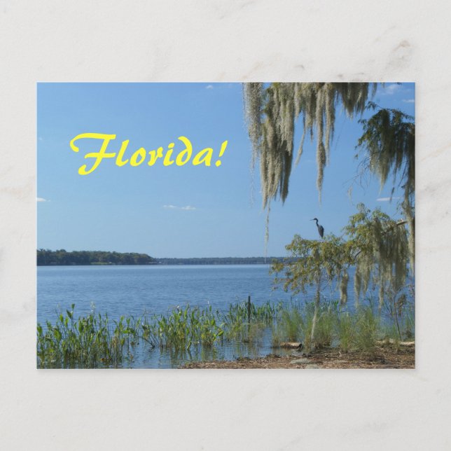 Florida Lake Postcard (Front)