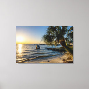 Florida Leaning Palm Tree Sunset Canvas Print