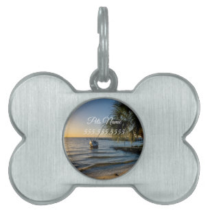 Florida Leaning Palm Tree Sunset Pet Tag