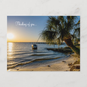 Florida Leaning Palm Tree Sunset Thinking Of You Postcard