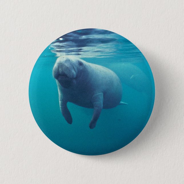 Florida Manatee 2 Inch Round Button (Front)