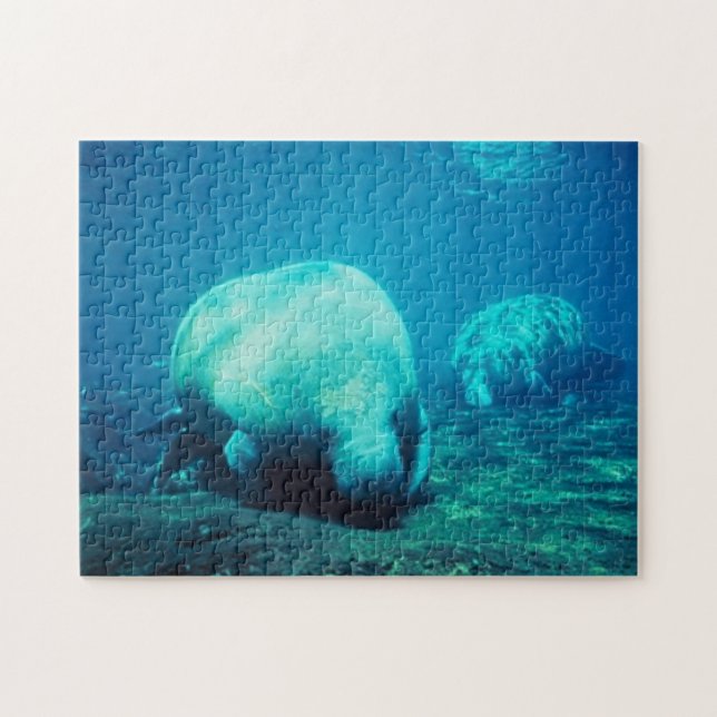 Florida Manatee Jigsaw Puzzle (Horizontal)