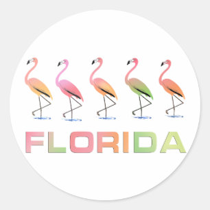 FLORIDA - Marching Tropical Flamingos Classic Round Sticker