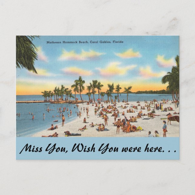 Florida, Matheson Hammock, Coral Gables Postcard (Front)