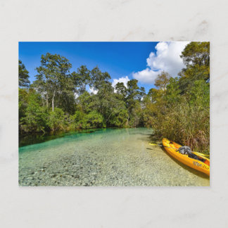 Florida nature postcard