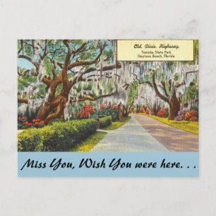 Florida, Old Dixie Highway, Daytona Beach Postcard