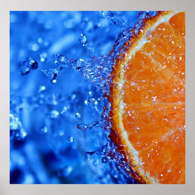 Florida Orange Splash Poster (Front)