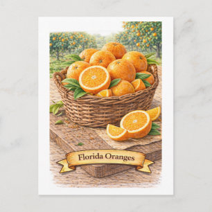 Florida Oranges (American Food Series) Postcard