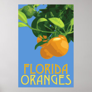 Florida Oranges Fruit Poster 24 x 36
