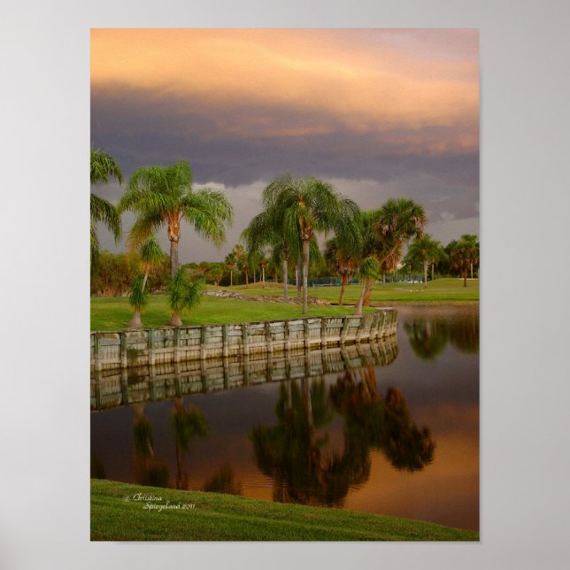 Florida palm tree lake reflection Poster (Front)