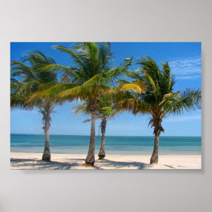 Florida palm trees print