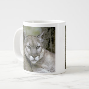 Florida panther, Felis concolor coryi, Large Coffee Mug