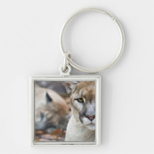 Florida Panther Keychain