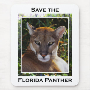 Florida Panther Mouse Pad