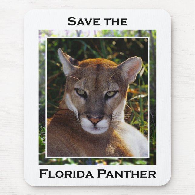 Florida Panther Mouse Pad (Front)