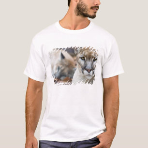 Florida Panther T-Shirt