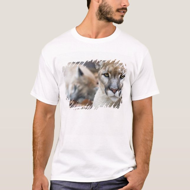 Florida Panther T-Shirt (Front)