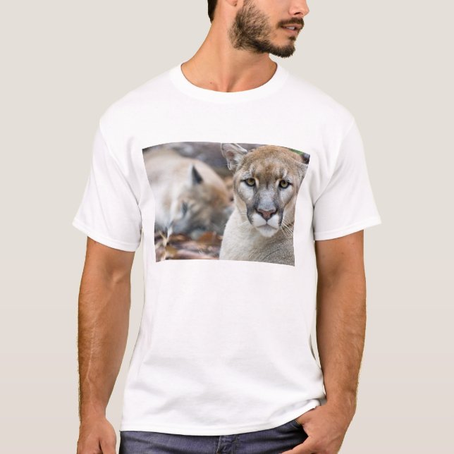 Florida Panther T-Shirt (Front)